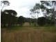 Wingham NSW 2429