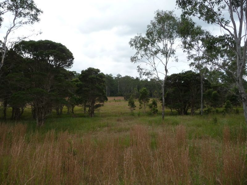 Wingham NSW 2429