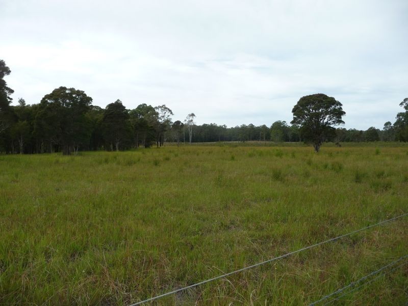 Wingham NSW 2429