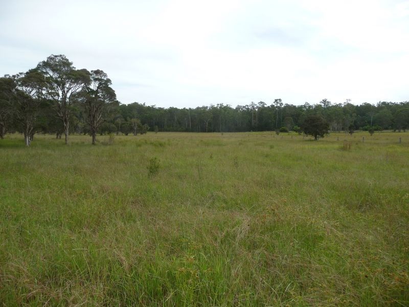 Wingham NSW 2429