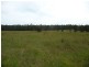 Wingham NSW 2429