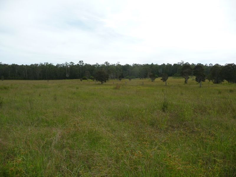 Wingham NSW 2429