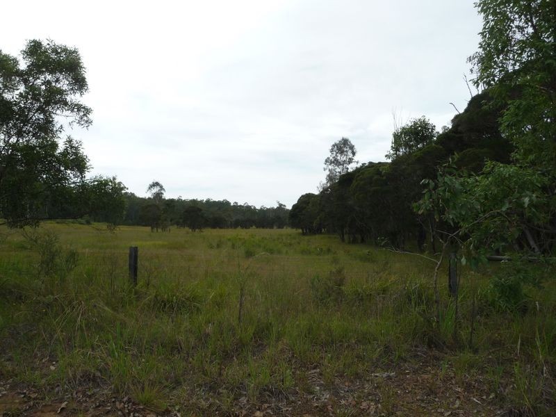Wingham NSW 2429