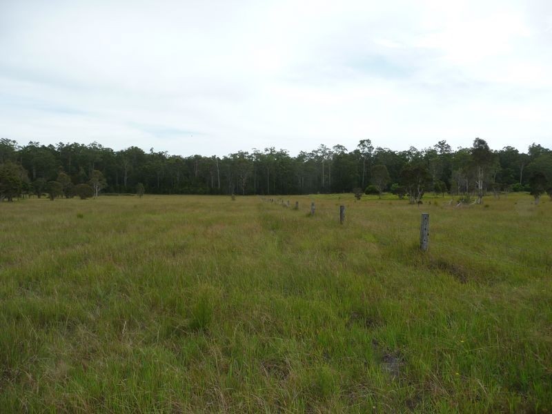 Wingham NSW 2429