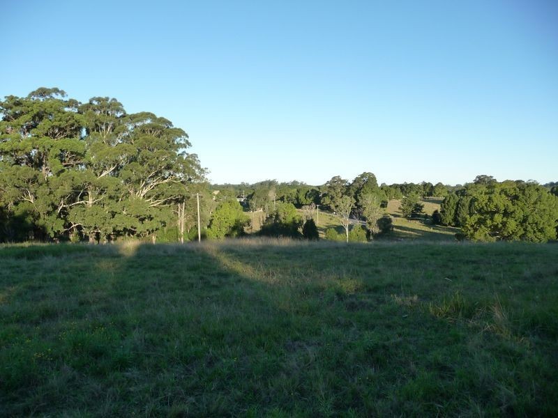 Moorland NSW 2443