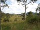 Bundook NSW 2422