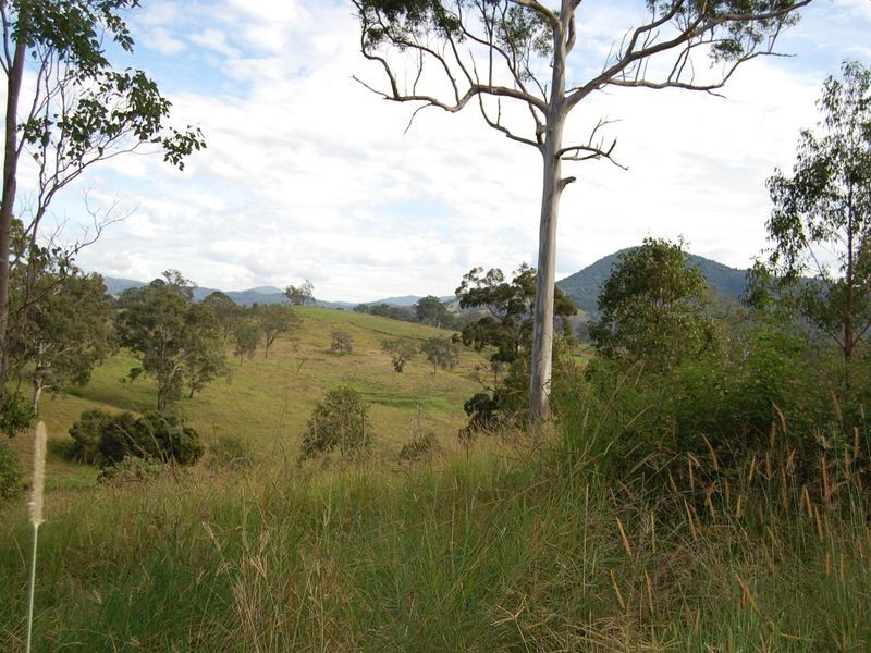 Bundook NSW 2422