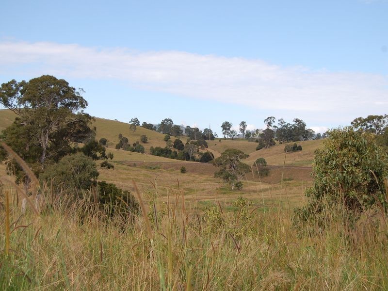 Bundook NSW 2422