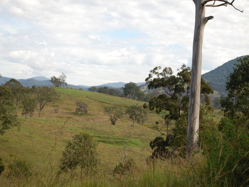 Bundook NSW 2422