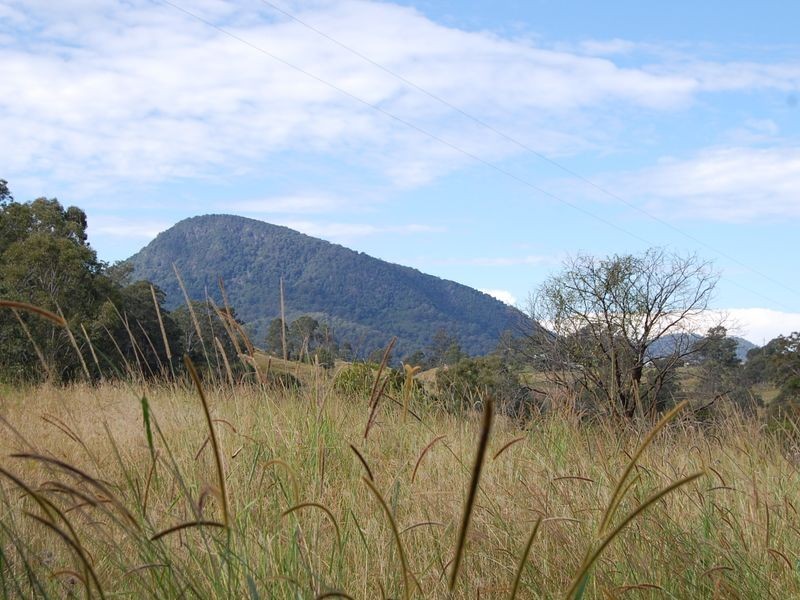 Bundook NSW 2422