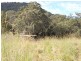 Bundook NSW 2422