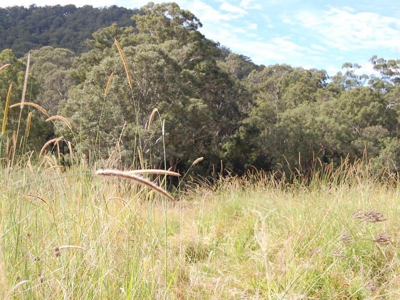 Bundook NSW 2422