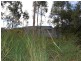 Bundook NSW 2422