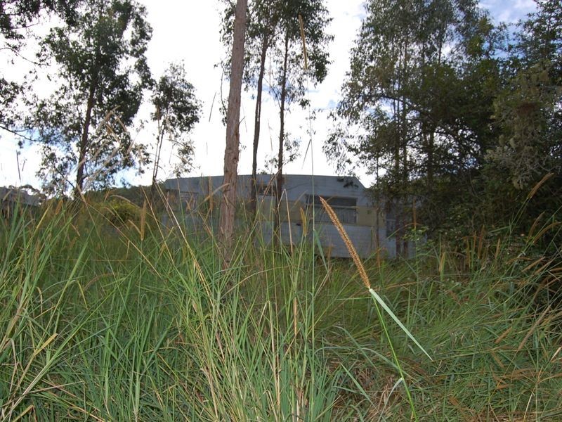Bundook NSW 2422