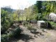 Wingham NSW 2429