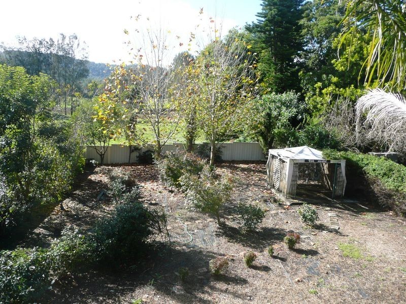 Wingham NSW 2429