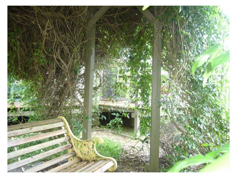 320 Warrawillah Road, Marlee NSW 2429