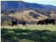 Bundook NSW 2422