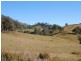 Bundook NSW 2422