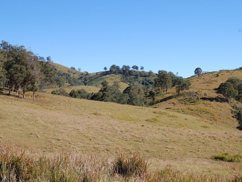 Bundook NSW 2422