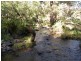 Bundook NSW 2422