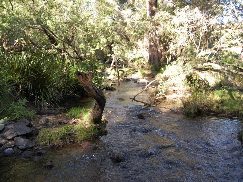 Bundook NSW 2422