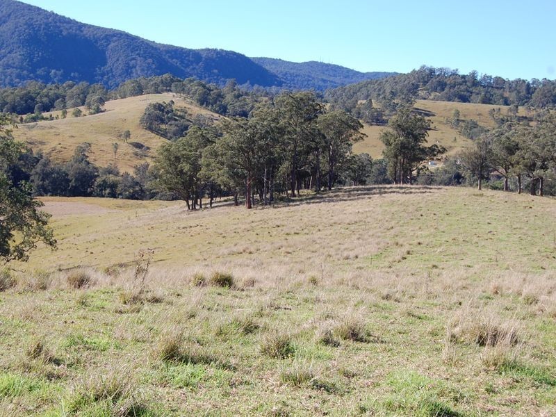 Bundook NSW 2422