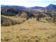 Bundook NSW 2422
