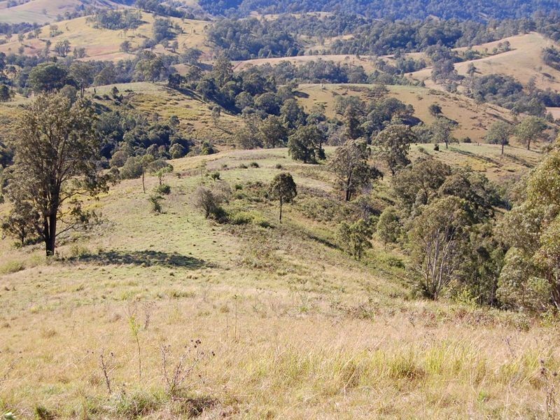 Bundook NSW 2422
