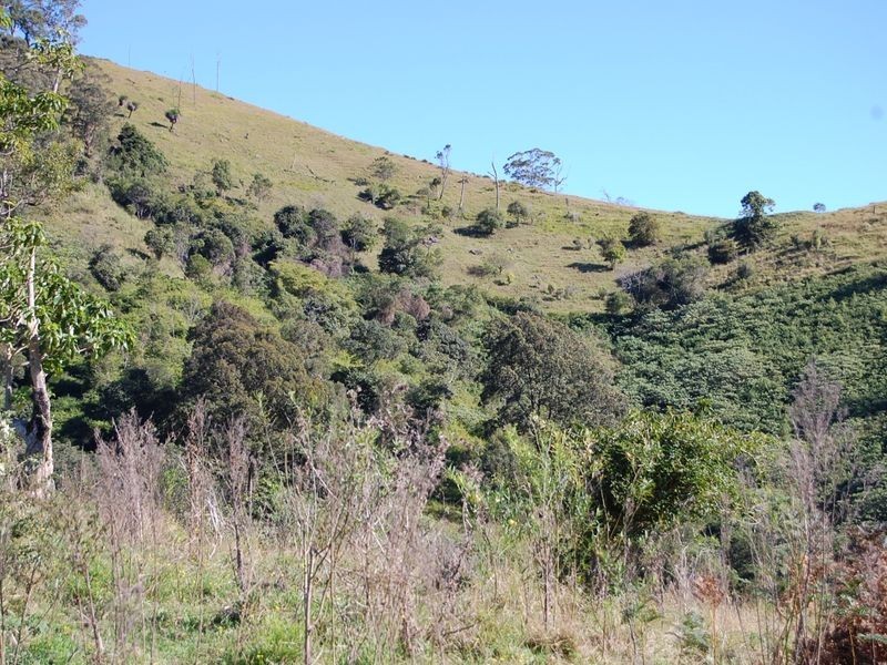 Bundook NSW 2422