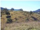 Bundook NSW 2422