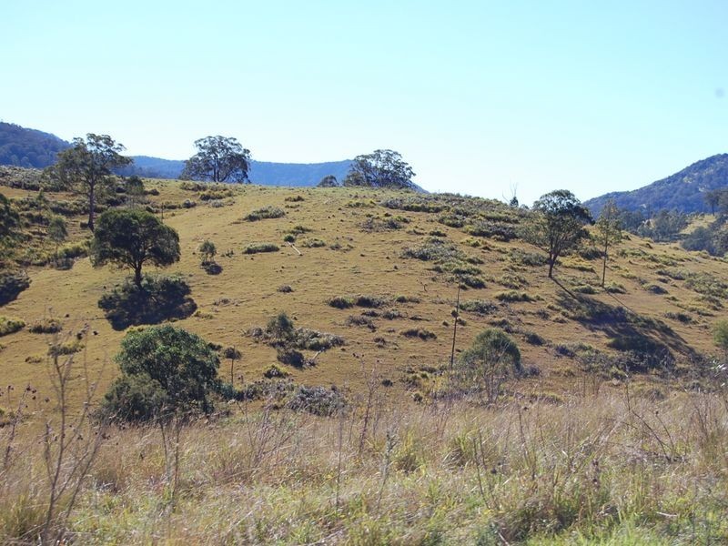 Bundook NSW 2422