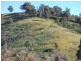 Bundook NSW 2422