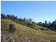 Bundook NSW 2422