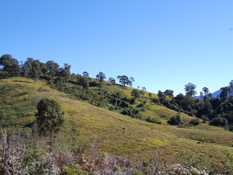 Bundook NSW 2422
