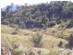 Bundook NSW 2422