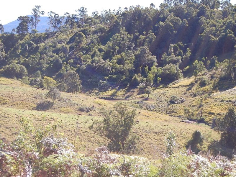 Bundook NSW 2422
