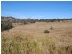 Bundook NSW 2422