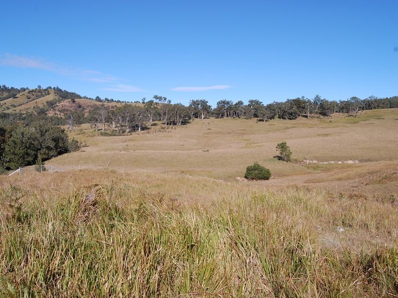 Bundook NSW 2422