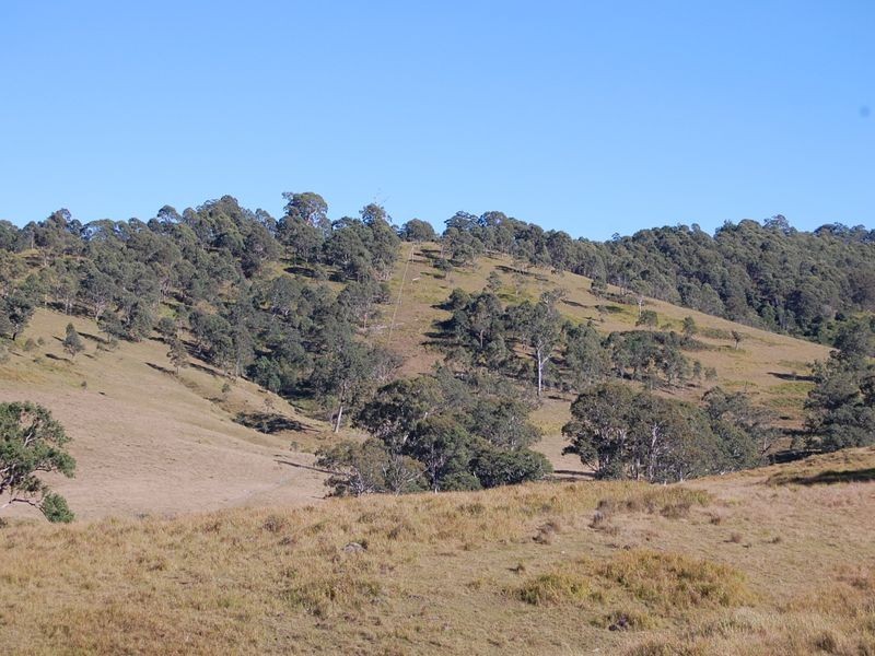 Bundook NSW 2422