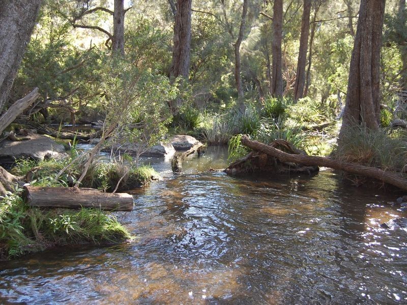 Bundook NSW 2422
