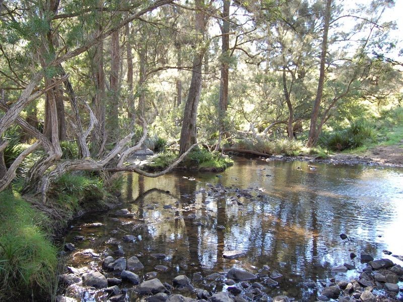 Bundook NSW 2422