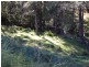 Bundook NSW 2422