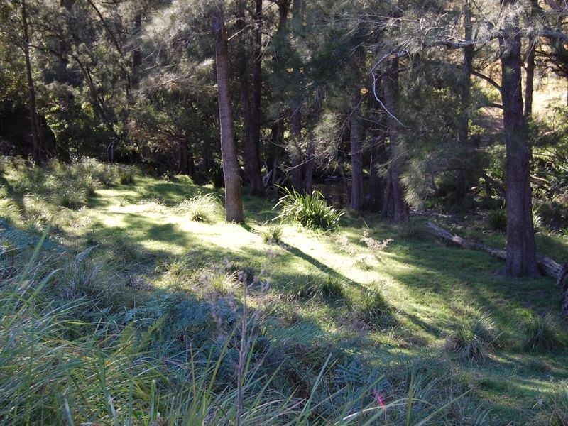 Bundook NSW 2422