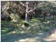 Bundook NSW 2422