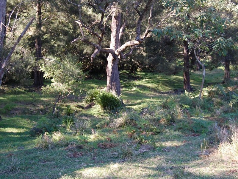 Bundook NSW 2422