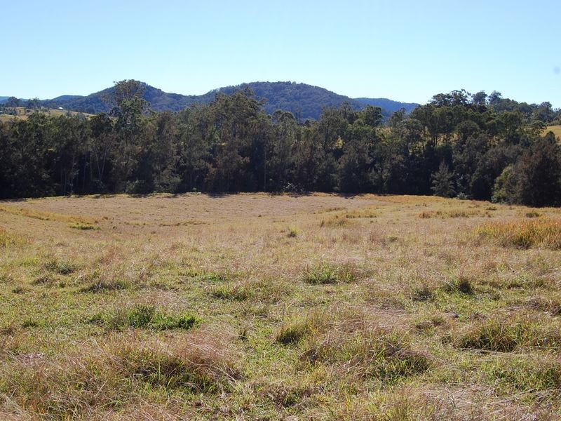 Bundook NSW 2422