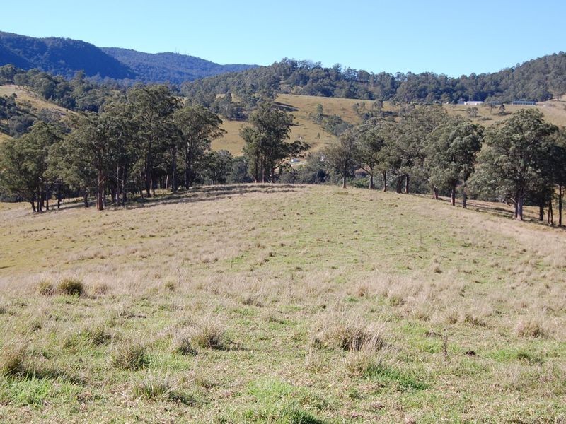 Bundook NSW 2422