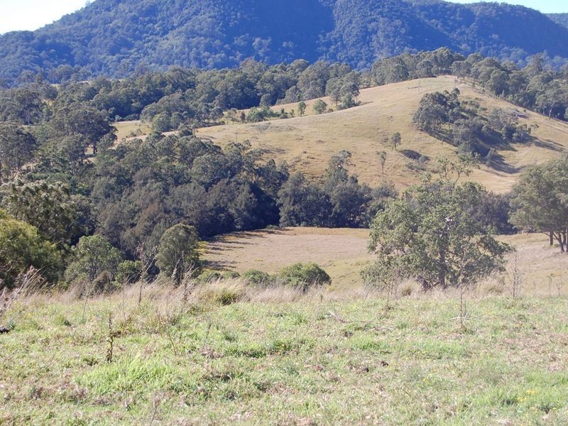 Bundook NSW 2422