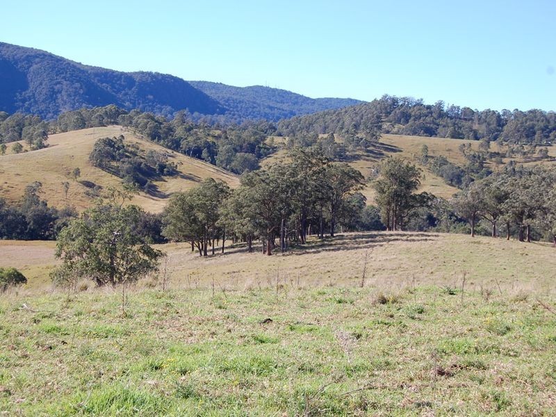Bundook NSW 2422